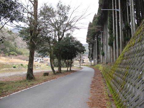 20140102hike (24)
